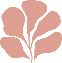 logo Maison-Vermeer