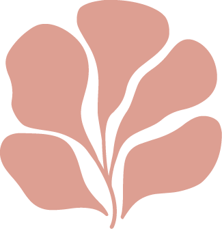 Logo Maison Vermeer